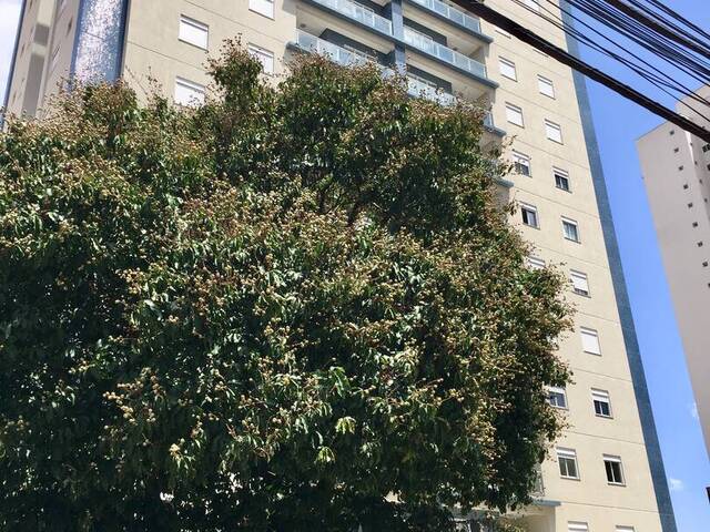 #15 - Apartamento para Venda em Campinas - SP - 3