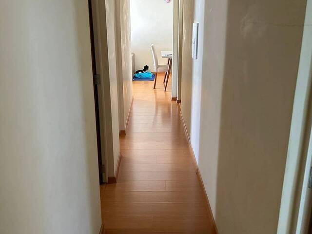#20 - Apartamento para Venda em Campinas - SP - 3
